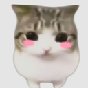 A little cat worn down by life. (棱角猫) Live Price, Chart and Marketcap