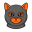Addicted Cat