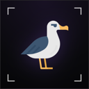 Albatross Protocol Live Price, Chart and Marketcap