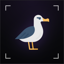 Albatross Protocol
