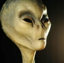 Buy Aliens are real