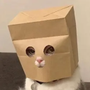Anonymous Cat (ZCAT) Live Price, Chart and Marketcap