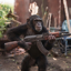 Buy APE WITH GUN