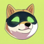Artificial Doge