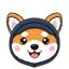 Asteroid Shiba