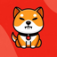 Buy Baby Shib