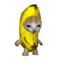 banana cat (BCAT) Live Price, Chart and Marketcap