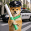 Buy BATON