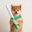 Buy Baton