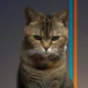 Beancat (BCAT) Live Price, Chart and Marketcap