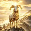 Bellwether (领头羊) Live Price, Chart and Marketcap