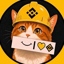 Binance Cat