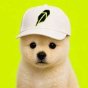 booh Live Price, Chart and Marketcap