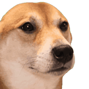 bopdog Live Price, Chart and Marketcap