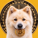 Buddy -First Crypto Dog Price Live Price, Chart and Marketcap