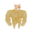 Buy Buff Cat