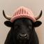 Buy bullwifhat