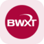 BWX Technologies rStock