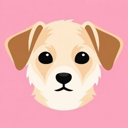 CALI Live Price, Chart and Marketcap