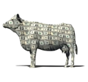 Cash Cow (CASHCOW) Live Price, Chart and Marketcap