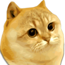 Catge Coin Live Price, Chart and Marketcap