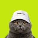 catwifcap (CAP) Live Price, Chart and Marketcap