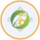 CEA Industries (bStocks Tokenized Stock) (BNCB) Live Price, Chart and Marketcap