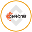Cerebras (bStocks Tokenized Stock) (CBRSB) Live Price, Chart and Marketcap
