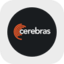 Cerebras Systems rStock