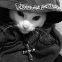 Chrome Cat Live Price, Chart and Marketcap