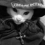 Buy Chrome Cat