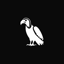 Buy Condor