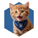 CROCAT Live Price, Chart and Marketcap
