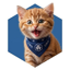 CROCAT