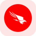 CrowdStrike rStock (RCRWD) Live Price, Chart and Marketcap