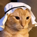 Crude Cat (CRUDECAT) Live Price, Chart and Marketcap