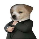 Dog in a suit Live Price, Chart and Marketcap