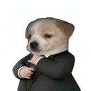 Dog In A Suit Live Price, Chart and Marketcap