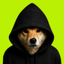 Dog In Hood (DIH) Live Price, Chart and Marketcap