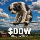 Dog on Wire (DOW) Live Price, Chart and Marketcap
