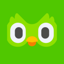 Duolingo, Inc. (Coinbase Tokenized Stock)
