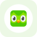 Duolingo rStock (RDUOL) Live Price, Chart and Marketcap