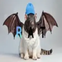 Fat Cat Bat Rat Wif Hat (USDC) Live Price, Chart and Marketcap
