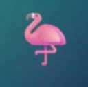 Flamingo Live Price, Chart and Marketcap
