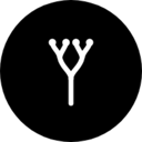 Fuci Live Price, Chart and Marketcap