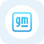 General Motors rStock