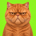 Grumpy Cat Live Price, Chart and Marketcap