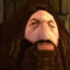 Buy HAGGORD