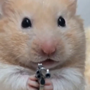 hamster wif gun (HWG) Live Price, Chart and Marketcap