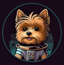 Hobbes [OLD] Live Price, Chart and Marketcap